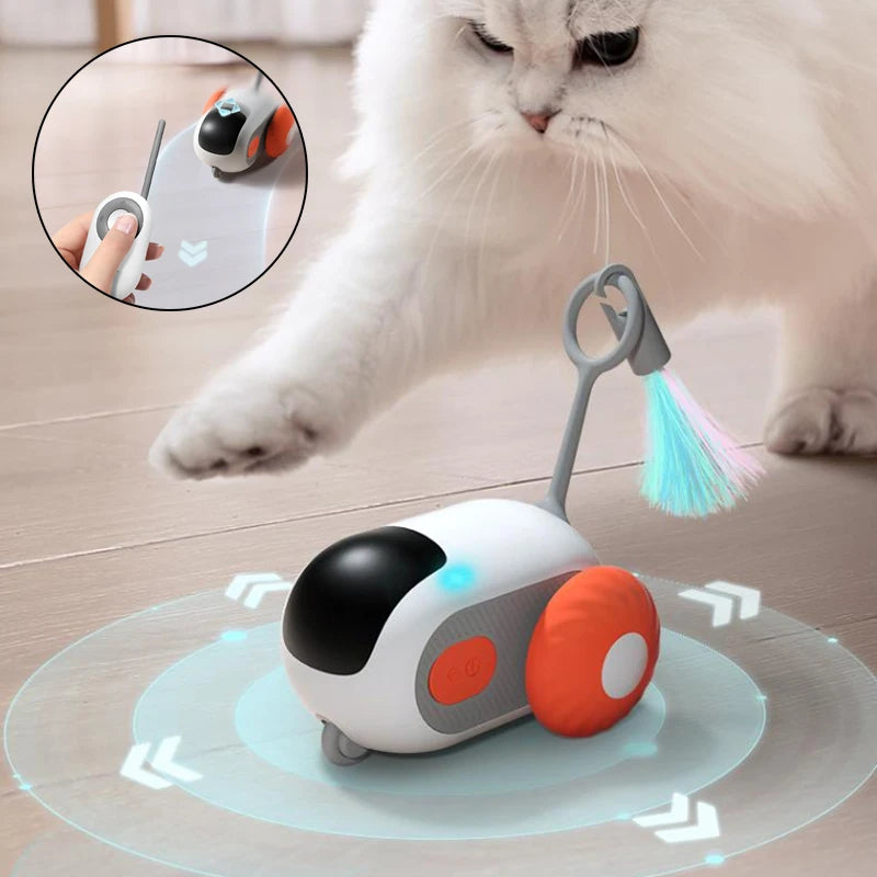 interactive remote control cat toy