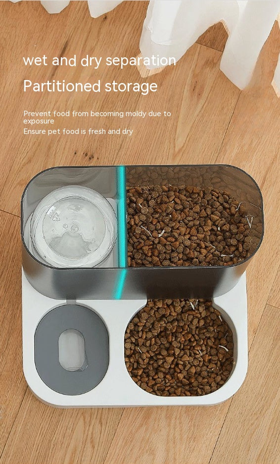 Automatic pet trendy feeder for cats