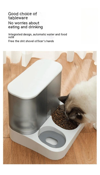 Automatic pet trendy feeder for cats