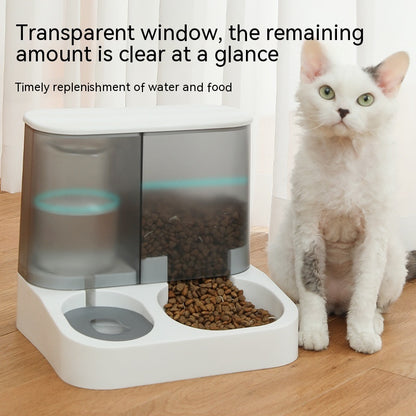Automatic pet trendy feeder for cats