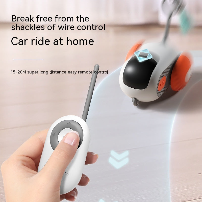 interactive remote control cat toy