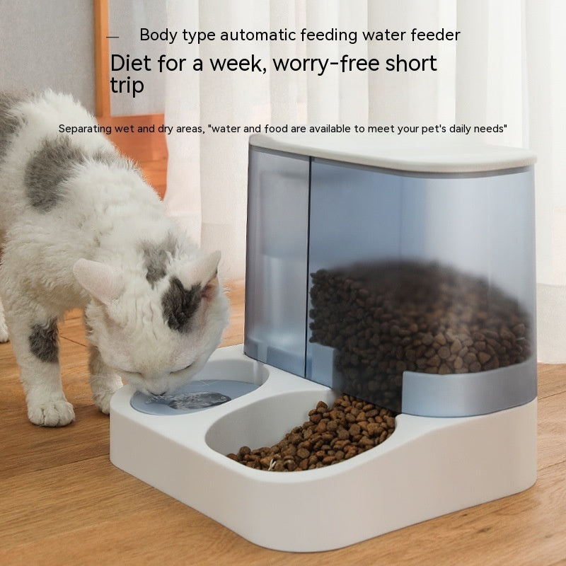 Automatic pet trendy feeder for cats